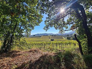 eatprato-walking-itinerari-ed-esperienze-alla-scoperta-del-gusto