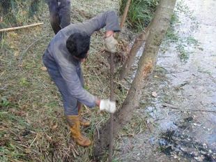 maltempo-comuni-mugello-chiedono-stato-demergenza-e-calamita