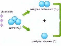 a806251408-caldo-dieci-regole-anti-spreco-dal-negozio-al-frigo-di-casa