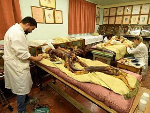 mostri-e-cadaveri-a-roma-dal-museo-di-storia-naturale-di-firenze