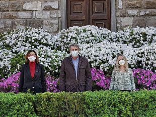 fioriscono-le-azalee-sullarengario-di-palazzo-vecchio