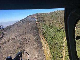 incendio-monti-pisani-in-toscana-i-danni-del-disastro-ambientale