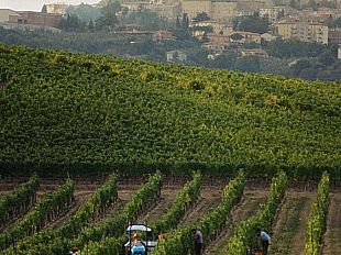 lunedi-7-settembre-presidio-al-valico-del-brennero-da-parte-degli-agricoltori-toscani