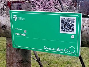 dona-un-albero-la-vergogna-dei-vandali