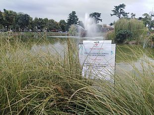 ruota-panoramica-natalizia-alla-fortezza-progetto-selezionato