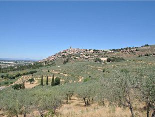 esperti-mondiali-del-patrimonio-agricolo-si-incontrano-a-firenze