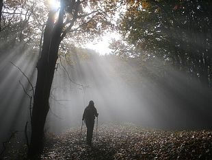 le-feste-dautunno-nel-prossimo-fine-settimana