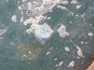 guanti-e-mascherine-campagna-coop-legambiente-contro-labbandono