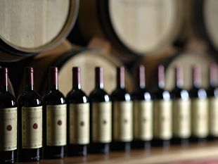 vino-il-2016-sara-unottima-annata