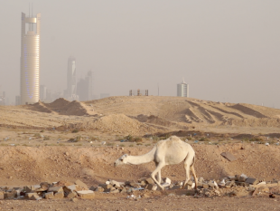 middle-east-now-dal-6-all11-ottobre-2020