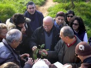 b401071359-le-buone-erbe-corso-di-educazione-alle-piante-alimentari