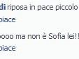 b306051915-staminali-social-network-in-tilt-per-un-errore-di-omonimia-tra-sofia-e-sophia