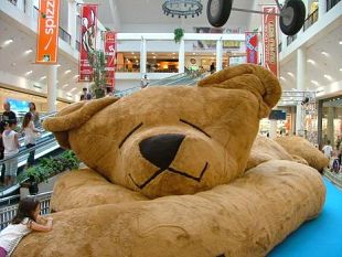 b008091523-arrivato-ai-gigli-l-orso-in-peluche-piu-grande-al-mondo