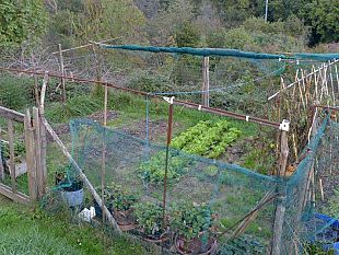 centomila-orti-in-toscana-parlano-i-comuni