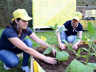 orti-urbani-la-toscana-invita-i-giovani-a-zappare-la-terra