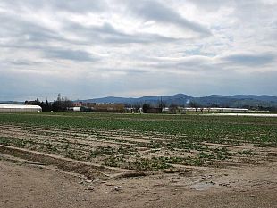 b303272101-orti-per-i-giovani-in-riva-sinistra-d-arno-il-lavoro-di-ieri-e-quello-di-domani