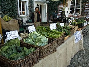 b203052200-taste-rassegna-delle-eccellenze-del-gusto-e-del-food-lifestyle