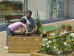 b210101602-coltivare-un-orto-lo-si-puo-imparare-fin-da-piccoli
