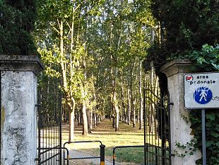 galluzzo-la-pioppeta-sara-completamente-abbattuta-in-tre-fasi