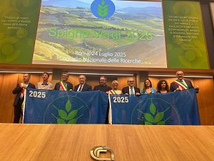 agricoltura-otto-comuni-toscani-vincono-le-spighe-verdi-2025