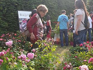 la-seconda-ddizione-del-flowers-park
