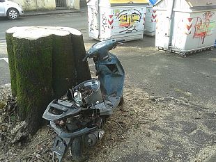 degrado-a-firenze-potatura-ad-occhi-chiusi