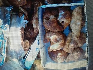 rifiuti-fuori-dal-cassonetto-multato-per-cornetti-e-panini-abbandonati