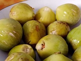 limportanza-di-mangiare-fichi-freschi