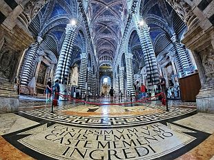 pavimento-alchemico-del-duomo-di-siena-sibilla-delfica-e-bianco-cigno