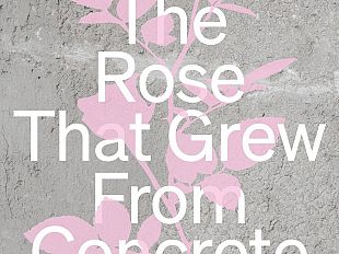 the-rose-that-grew-from-concrete-al-museo-santorsola