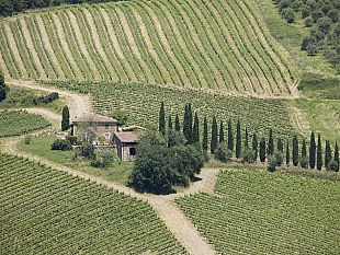 progetto-cru-i-vigneti-valorizzati-grazie-a-una-viticoltura-al-dettaglio