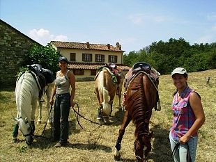 b009101100-festa-dello-sport-per-tutti-e-festa-del-cavallo