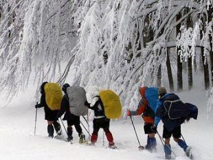 a812111318-neve-e-natura-nel-parco-nazionale-delle-foreste-casentinesi-monte-falterona-e-campigna
