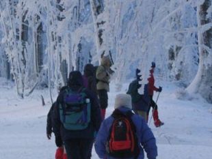 a903041342-parco-nazionale-delle-foreste-casentinesi-un-altro-fine-settimana-di-neve-e-natura