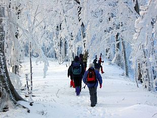 b103021733-tante-iniziative-per-vivere-la-neve-nel-fine-settimana