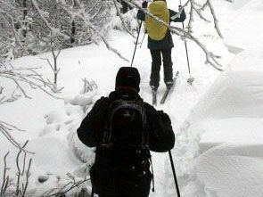 a902131419-campigna-cani-da-soccorso-e-slitte-lo-sleddog-il-xvii-raduno-sci-alpinistico