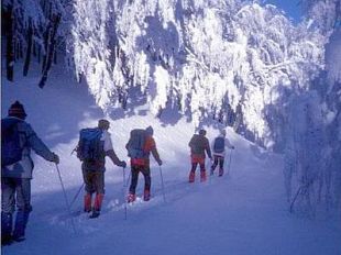 a902041457-parco-nazionale-delle-foreste-casentinesi-escursionismo-sulla-neve-nel-fine-settimana