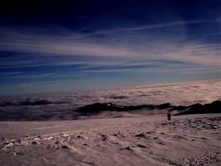 b012101938-idee-per-il-weekend-giganti-o-ciaspole-al-parco-foreste-casentinesi