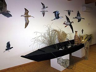 b312151951-padule-di-fucecchio-apertura-straordinaria-del-centro-visite