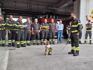 va-in-pensione-foglia