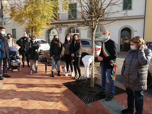 abbraccia-un-albero-dai-vita-a-un-bosco