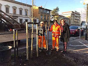 alberi-e-verde-pubblico-a-firenze-ecco-i-dati-di-palazzo-vecchio