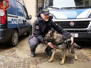 mia-e-eviva-ancora-a-segno