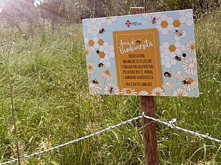 biodiversita-limpegno-del-comune-di-firenze