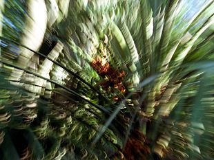 impronte-da-marangoni-gli-scatti-di-margherita-verdi