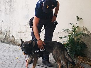 marijuana-nascosta-in-cucina-pusher-arrestato-a-s-jacopino