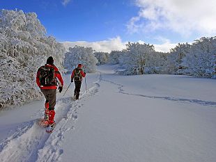 san-valentino-arriva-in-toscana