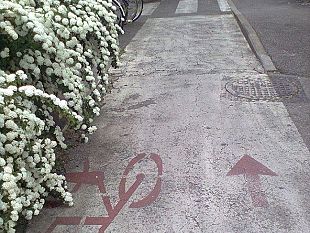 pista-ciclabile-in-via-erbosa-e-in-fiore