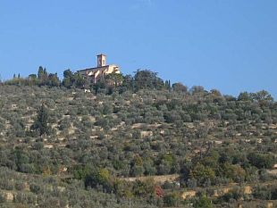 filiera-corta-favorire-produzione-e-vendita-locale-di-piccole-realta-agricole