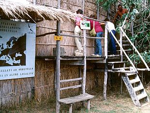 yac-wwf-un-concorso-di-idee-per-loasi-di-orbetello